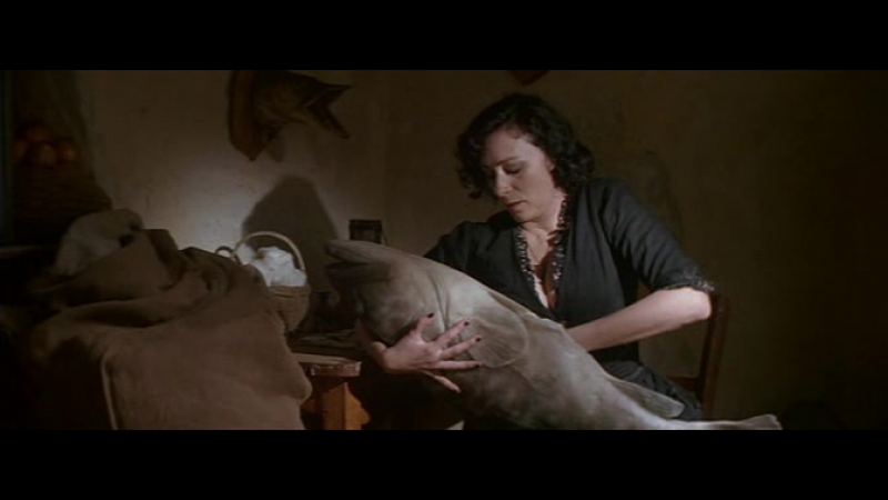 Aromat damy v chernom 2005 xvid dvdrip fenixclub