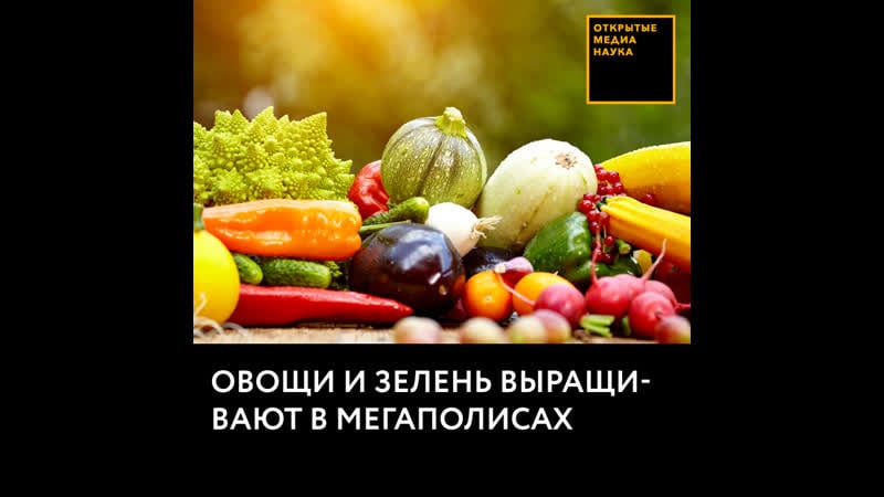 Овощи и зелень выращивают в мегаполисах