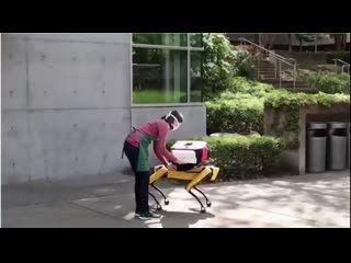 Msbuild presentation showed bostondynamics spot robot dog delivering pizza pretty cool! mp4