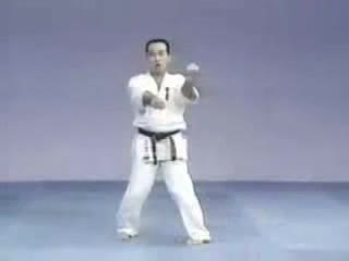 Sanchin kyokushinkai kata