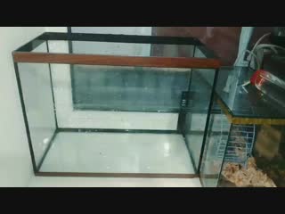 Vid 20190209 132816(0) mp4