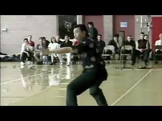 Choy li fut snake form grandmaster doc fai wong