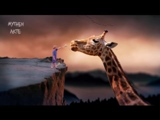 So träumst du was du willst realitätscheck | mythenakte