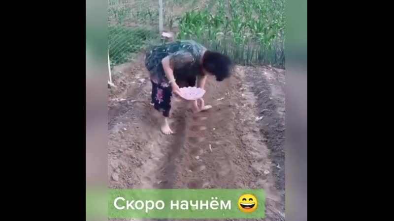 Китайская бабушка огородница и ее метод посадки знает толк в эффективном подходе