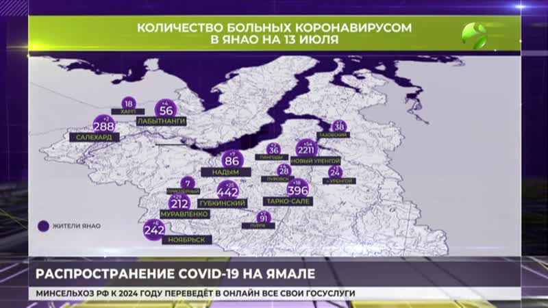 Карта распространения коронавируса по янао на 13 июля 2020