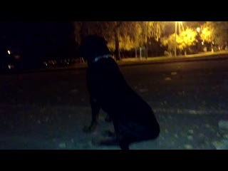 Vid 20201014 213600 mp4