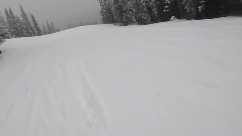 [nick usa] может переехать? разведка в орегоне и вашингтоне