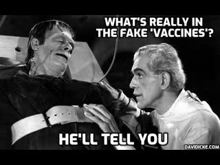 Must watch what's really in the fake 'vaccines former fema employee celeste solum with david icke