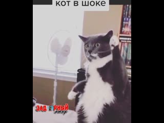 Целая куча милости 😘