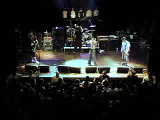 Zebrahead playmate of the year