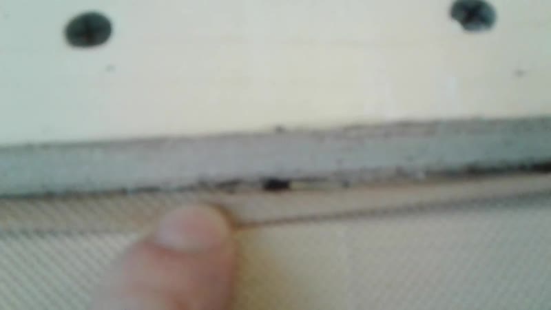 Клопы в диване