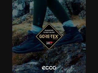 Ecco gore tex