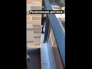 Сука хочет денег моргенштерн мой кумир