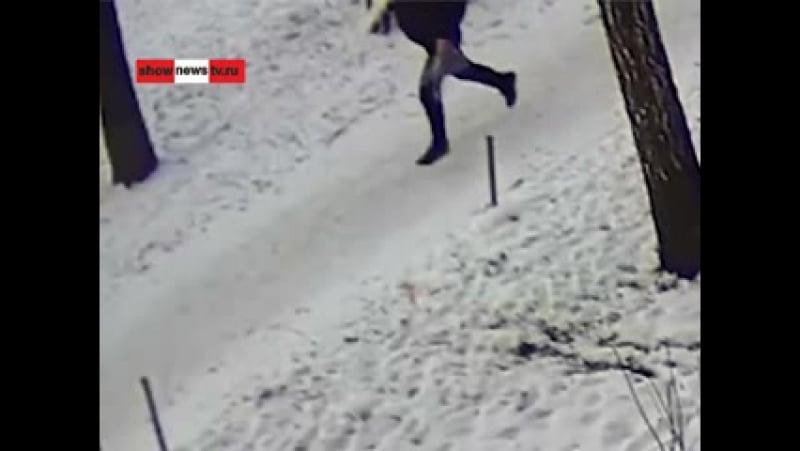 Тау жесть! серийщик из за курицы 4 раза ударил старушку молотком по голове