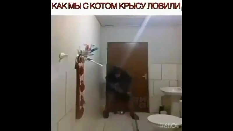 Как мы с котом ловили крысу mp4