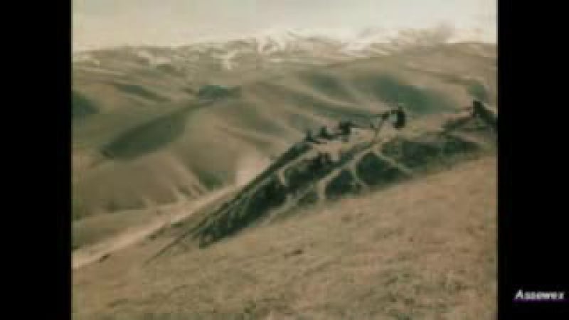 Встречай, отчизна, сыновей