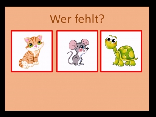 Haustiere wer fehlt?