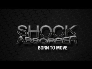 Shock absorber fly dont bounce