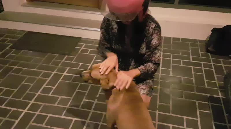 Девушка и молодые таиланд 2019, пхукет тайские секс ласковый пес видео блог об отдыхе на пхукете, раваи, най харн, карон