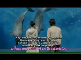 Я люблю свою сестрёнку / i'm in love with my little sister / boku wa imouto ni koi wo suru (2005)