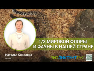 Video by сгюа