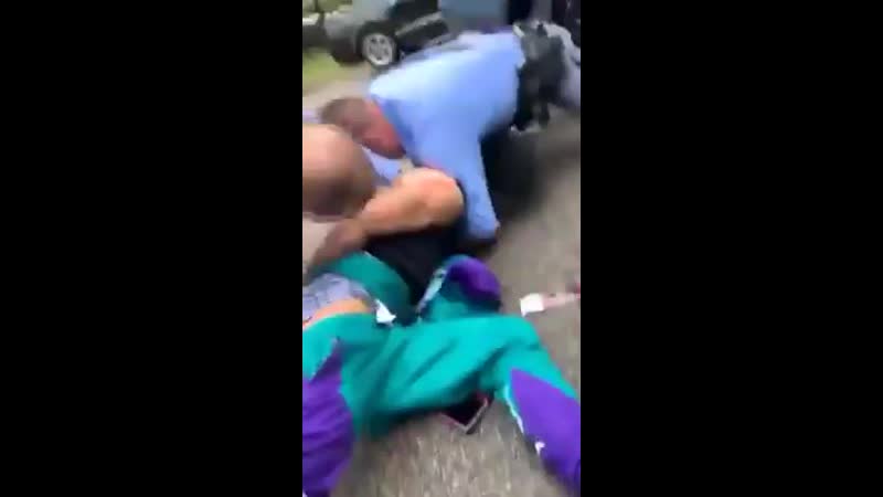 Молодые сшановские эцилоппы и цветной водитель их нравы моя планета