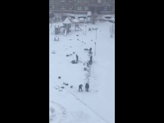 В новом уренгое рабочие при благоустройстве молодые площадки укладывают плитку в снег