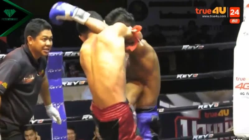 Пятничные колени petchyindee muaythai, max muay thai