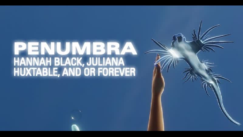 Penumbra (2021) dir hannah black & juliana huxtable