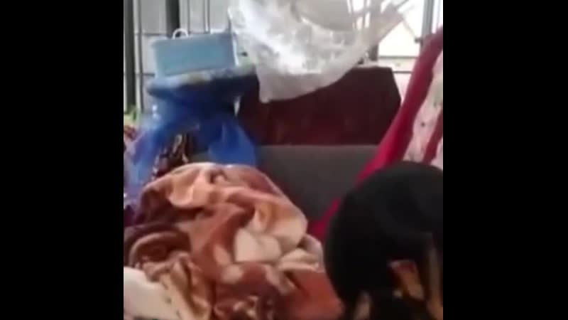 Одиночество сволочь