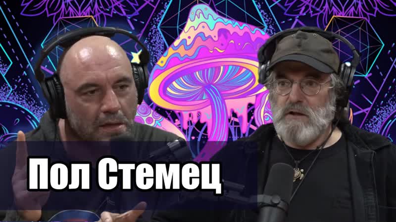 Грибы, которые могут изменить мир пол стемец и джо роган [второй подкаст ]
