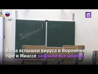 Вспышка гриппа в россии