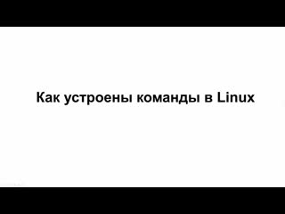 Linux1 как устроены команды в linux