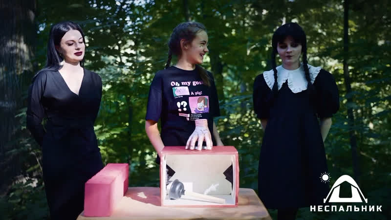 Венсдей аддамс заказать на день рождения уэнсдей уэнздей