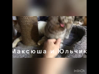 Максюша и юльчик