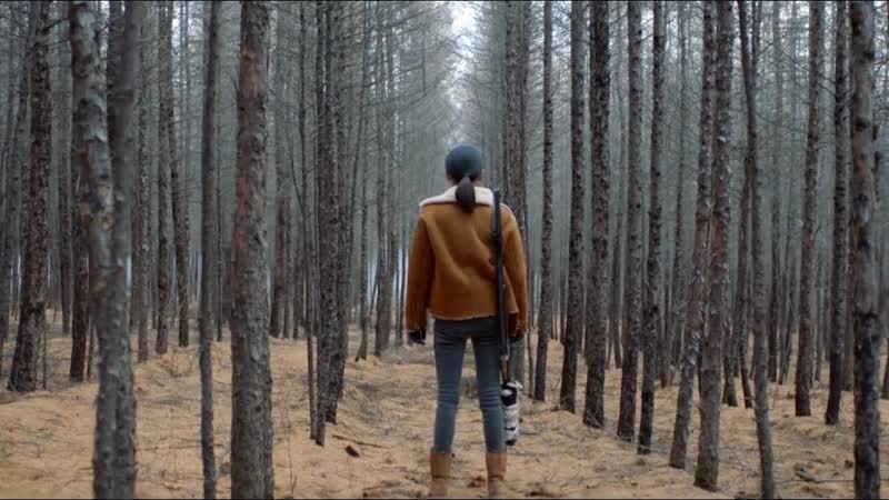 Параллельный лес (2019) parallel forest