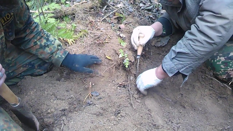 Агапов николай алексеевич дата рождения/возраст 1909 был найден п о "центр" 11 октября 2015 года