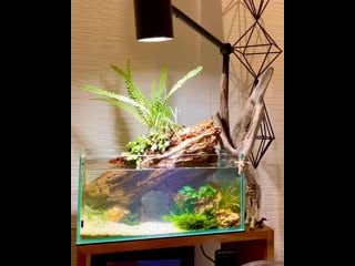 Chisaru green aqua interior 20200729 2 mp4