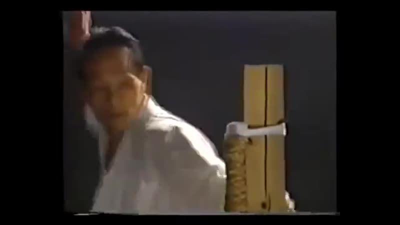 Karate shotokan ryu asai ha sensei tetsuhiko asai kihon and kata