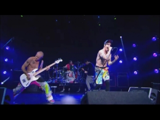 Red hot chili peppers le grand journal 14/06/16 (full show)