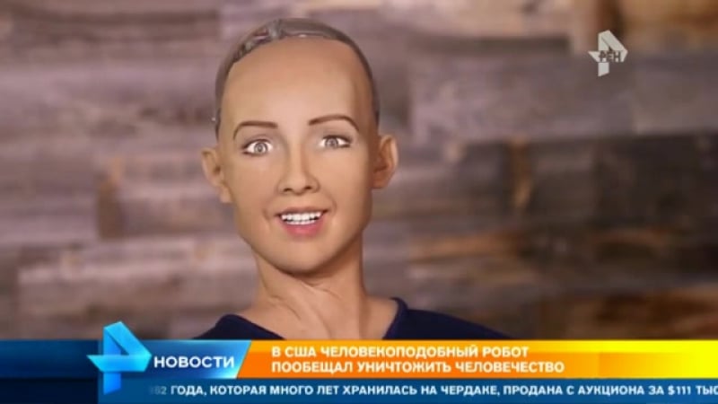 Киборг софия угрожает человечеству уничтожением