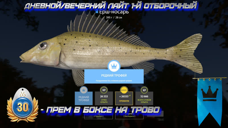 Русская рыбалка 4 рр4 дневной/вечерний лайт 30 дней према в боксе на трово! ссылка в описании!