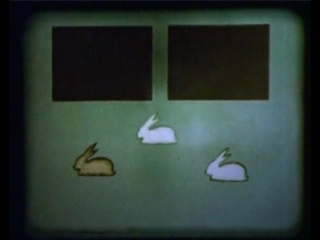 Научфильм биология фильм 10 основные законы наследственности