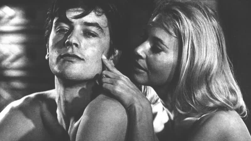 Хищники / les félins 1964