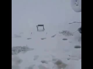 Trim 182d0cd7 a7bd 464e 8283 58a658a9e3ea