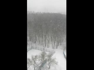 Видео от карины василь