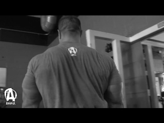 Switched on back day training with evan centopani
