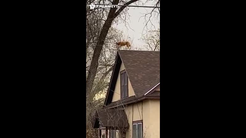 Ваш дом под надёжной защитой!