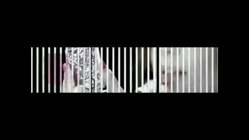 Sos corazon rebelde luciana echeverria