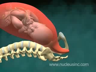 3d medical animation of normal vaginal birth (childbirth)